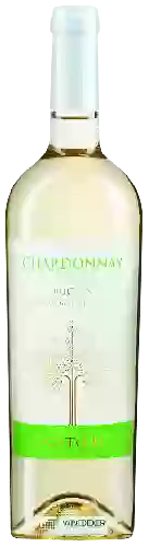 Wijnmakerij Santoro - Chardonnay Puglia