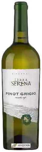 Wijnmakerij Terra Serena - Pinot Grigio Veneto