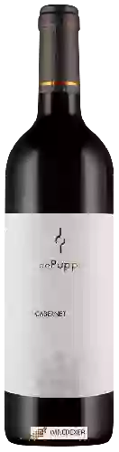 Wijnmakerij Villa de Puppi - Cabernet