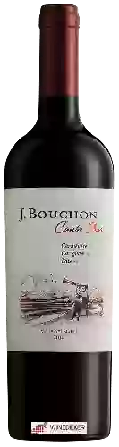 Wijnmakerij J. Bouchon - Canto Sur Red