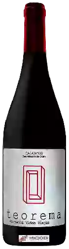 Bodegas y Viñedos del Jalón - Teorema Vi&ntildeas Viejas Garnacha