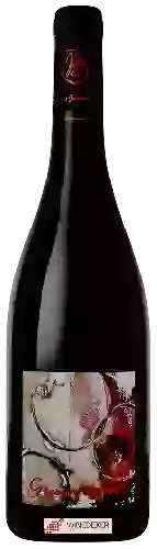 Wijnmakerij Johann Michel - Cuvée Grain Noir