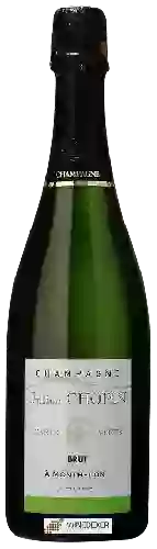 Wijnmakerij Julien Chopin - Carte Verte Brut Champagne