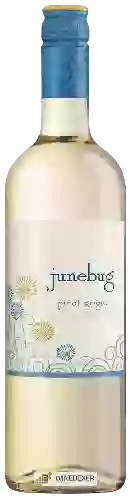 Wijnmakerij Junebug - Pinot Grigio