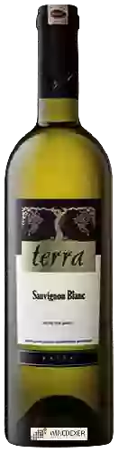 Wijnmakerij Kayra - Terra Sauvignon Blanc