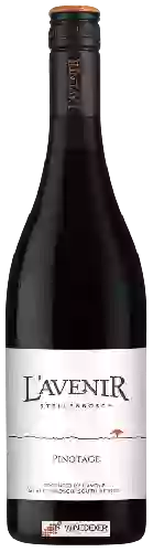 Wijnmakerij L'Avenir - Pinotage