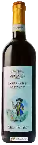 Wijnmakerij La Contea - Ripa Sorita Barbaresco