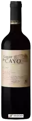 Wijnmakerij Lagar de Cayo - Crianza