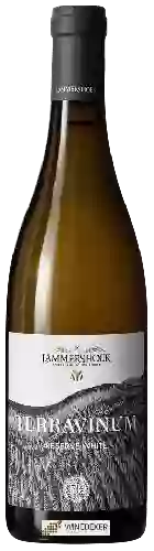 Wijnmakerij Lammershoek - Terravinum Reserve White