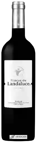 Wijnmakerij Landaluce - Fincas de Landaluce Graciano