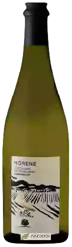 Wijnmakerij L'Antica Quercia - Morene Conegliano Prosecco Tranquillo