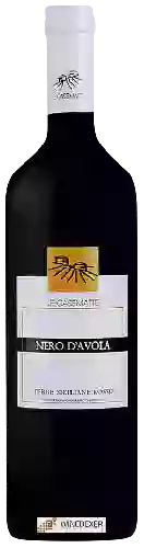 Wijnmakerij Le Casematte - Nero d'Avola