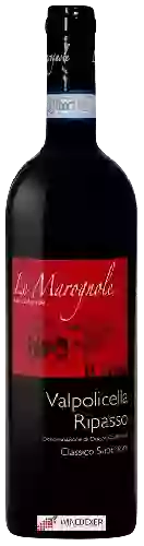 Wijnmakerij Le Marognole - Valpolicella Ripasso Classico Superiore