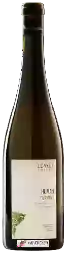 Wijnmakerij Lenkey Pinceszet - Human Furmint