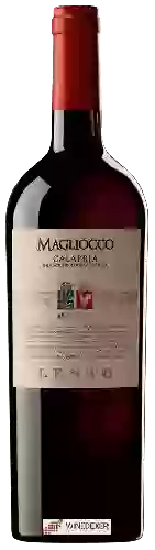 Wijnmakerij Lento - Magliocco