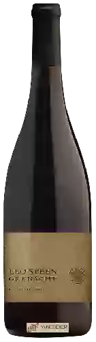 Wijnmakerij Leo Steen - Provisor Vineyard Grenache