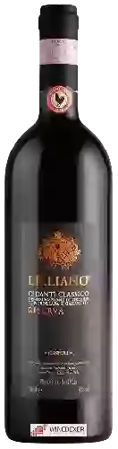 Wijnmakerij Tenuta di Lilliano - Chianti Classico Riserva