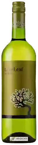 Wijnmakerij Lime Leaf - Verdejo