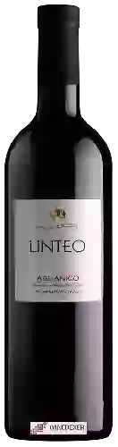 Wijnmakerij Linteo - Aglianico del Beneventano