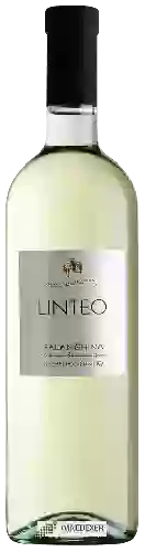 Wijnmakerij Linteo - Falanghina del Beneventano