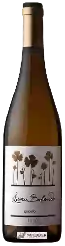 Wijnmakerij Luna Beberide - Godello Bierzo LB