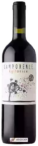 Wijnmakerij Lunarossa - Camporeale Aglianico