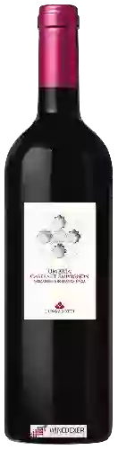 Wijnmakerij Lungarotti - Cabernet Sauvignon Umbria