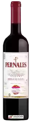 Wijnmakerij Málaga Virgen - Pernales Syrah