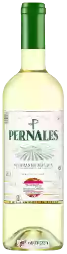 Wijnmakerij Málaga Virgen - Pernales Verdejo