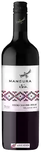 Wijnmakerij Mancura - Etnia Cabernet Sauvignon - Merlot