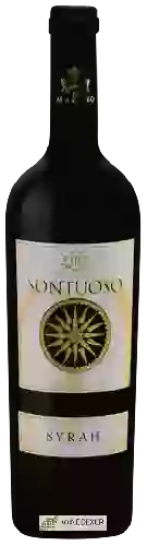 Wijnmakerij Marino - Sontuoso Syrah