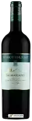 Wijnmakerij Marotti Campi - Salmariano Castelli di Jesi Verdicchio Classico Superiore