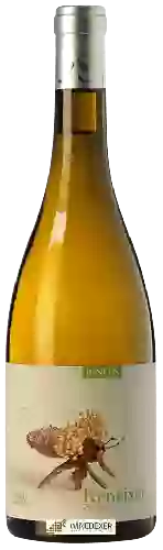 Wijnmakerij Mas Igneus - Renéixer Blanc