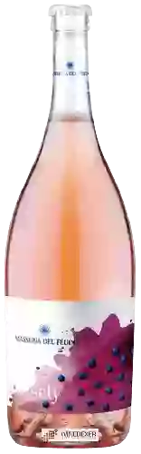 Wijnmakerij Masseria del Feudo - Sely