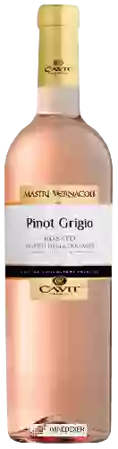 Wijnmakerij Mastri Vernacoli - Pinot Grigio Rosato