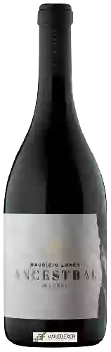 Wijnmakerij Mauricio Lorca - Ancestral Malbec