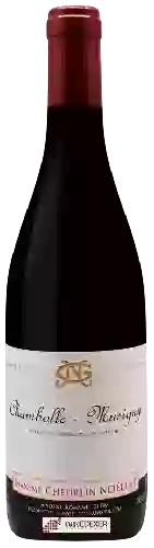Wijnmakerij Maxime Cheurlin-Noëllat - Chambolle-Musigny