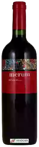 Wijnmakerij Merum - Monastrell