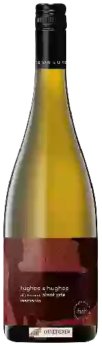 Wijnmakerij Mewstone - Hughes & Hughes Skin Ferment Pinot Gris