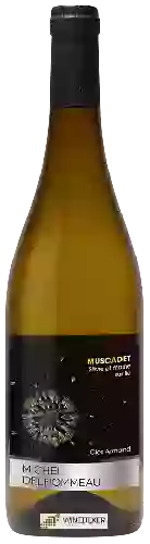 Wijnmakerij Michel Delhommeau - Clos Armand Vieille Vigne Muscadet Sèvre-et-Maine Sur Lie