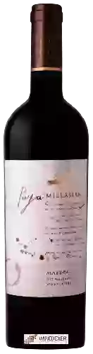 Wijnmakerij Millaman - Paya de Millaman Malbec