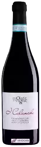 Wijnmakerij Monte delle Vigne - L Calanchi Lambrusco