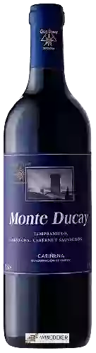 Wijnmakerij Monte Ducay - Tinto