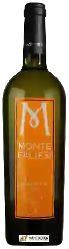 Wijnmakerij Monte Faliesi - Falanghina