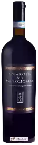 Wijnmakerij Monteci - Andrea Amarone Della Valpolicella