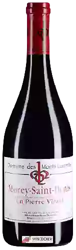 Domaine des Monts Luisants - Pierre Virant Morey-Saint-Denis