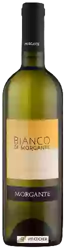 Wijnmakerij Morgante - Bianco di Morgante