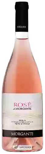 Wijnmakerij Morgante - Rosé di Morgante