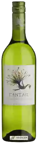 Wijnmakerij Morgenhof Estate - Fantail Sauvignon Blanc - Chenin Blanc