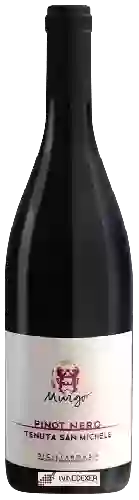 Wijnmakerij Murgo - Tenuta San Michele Pinot Nero